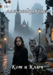 Кот и ключ