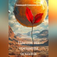 Цветок из трещины осколка
