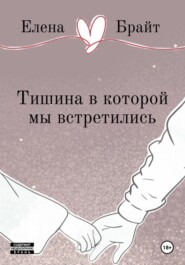 Тишина в которой мы встретились