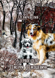 Первое дело Джерри Джошевича