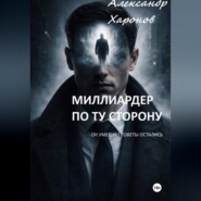 Миллиардер по ту сторону