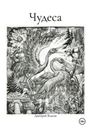 Чудеса