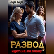 Развод идет (не) по плану