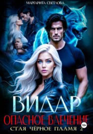 Видар. Опасное влечение