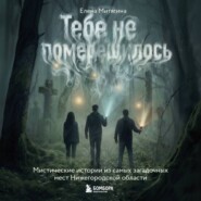 Тебе не померещилось. Мистические истории из самых загадочных мест Нижегородской области