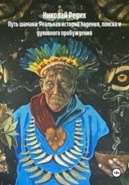 Путь шамана. Реальная история падения, поиска и духовного пробуждения