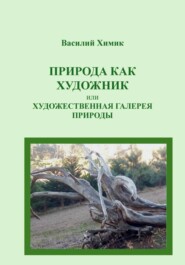 Природа как художник, или Художественная галерея природы