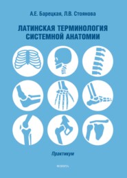 Латинская терминология системной анатомии