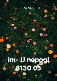 im- JJ nepogl 8130 03