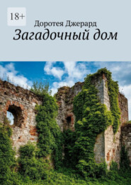 Загадочный дом