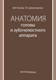 Анатомия головы и зубочелюстного аппарата. Учебное пособие для стоматологов