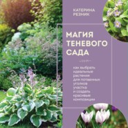 Магия теневого сада. Как выбрать идеальные растения для потаенных уголков участка и создать красивые композиции