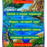 Сказка о юном пареньке Марио, который смог с честью пройти сквозь сложные испытания