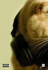 im - cl 8255 poglche 1504 premod