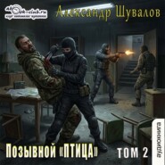 Позывной «ПТИЦА». Том 2