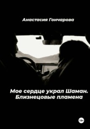 Мое сердце украл Шаман. Близнецовые пламена