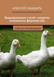 Выращивание гусей: секреты успешного фермерства. Cоветы и рекомендации