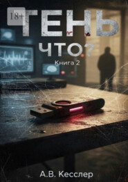 Тень: Книга 2. Что?