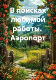 В поисках любимой работы.  Аэропорт
