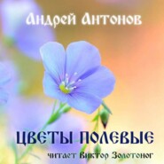 Цветы полевые
