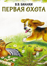 Лесные домишки