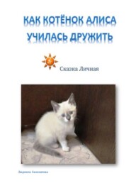 Как котёнок Алиса училась дружить