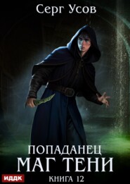 Попаданец. Маг Тени. Книга 12