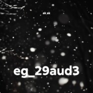 eg_29aud3