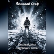Первый день настоящей зимы