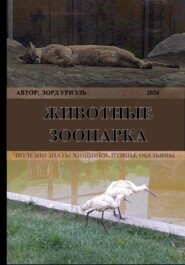 Животные зоопарка