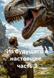Из будущего в настоящее.  часть 3