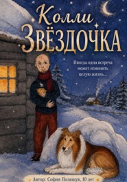 Колли Звездочка