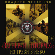 «Вагнер» и «Шторм Z»: из грязи в небо