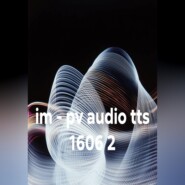 im - pv audio tts 1606 2