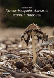 Культура гриба. Джимми чайный грибочек