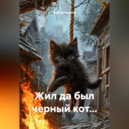 Жил да был черный кот...