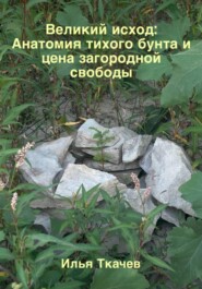 Великий исход: Анатомия тихого бунта и цена загородной свободы