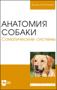 Анатомия собаки. Соматические системы. Учебник для вузов. 5-е издание, стереотипное