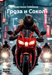 Гроза и Сокол