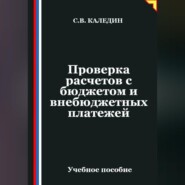 Проверка расчетов с бюджетом и внебюджетных платежей