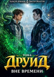 Друид. Том 6. Вне времени