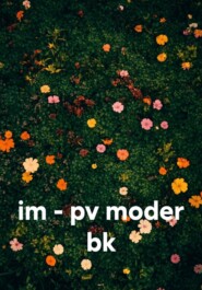 im - pv moder bk