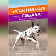 Реактивная собака. Как помочь ей и себе.