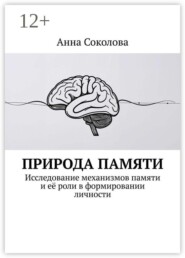 Природа памяти. Исследование механизмов памяти и её роли в формировании личности