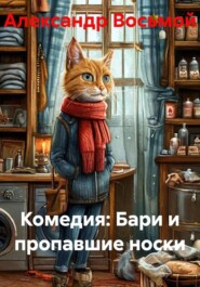 Комедия: Бари и пропавшие носки
