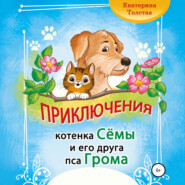 Приключения котёнка Сёмы и его друга пса Грома