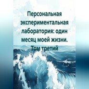 Персональная экспериментальная лаборатория: один месяц моей жизни. Том третий