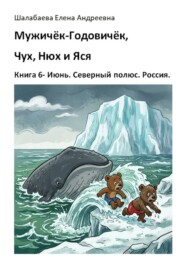 Книга 6. Июнь. Северный полюс. Россия