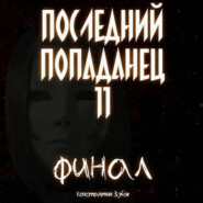 Последний попаданец 11