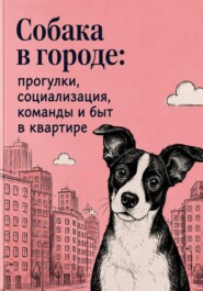 Собака в городе: прогулки, социализация, команды и быт в квартире